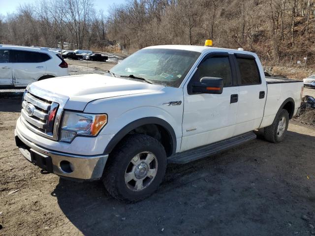 FORD F150 SUPER 2012 with VIN 1FTFW1ET3CFA59644 - Photo from auction