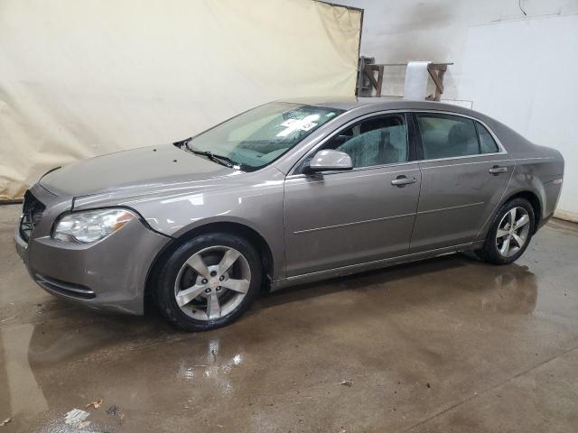 CHEVROLET MALIBU 1LT 2011 with VIN 1G1ZC5E19BF207301 - Photo from auction