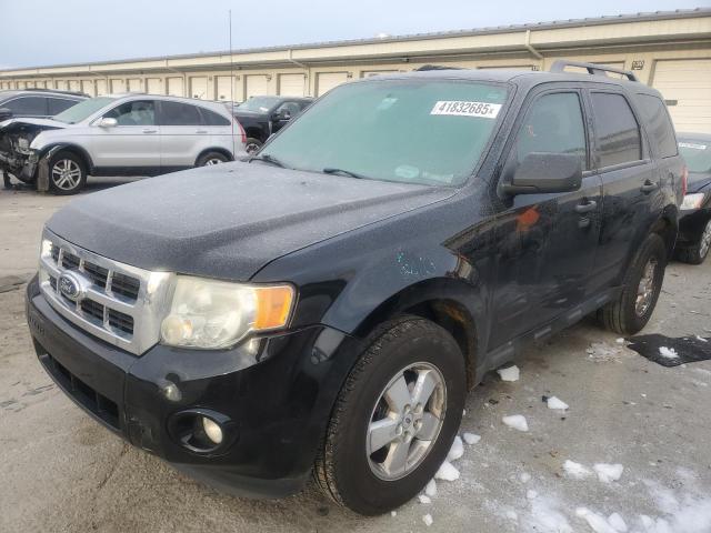 FORD ESCAPE XLT 2012 with VIN 1FMCU0D73CKC04028 - Photo from auction