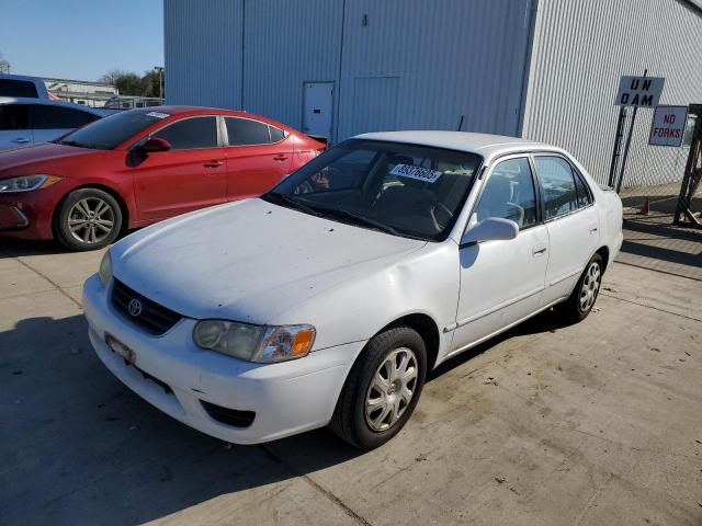 TOYOTA COROLLA CE 2001 with VIN 1NXBR12E81Z503293 - Photo from auction