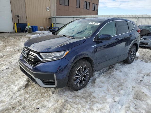 HONDA CR-V EXL 2022 with VIN 5J6RT6H80NL023385 - Photo from auction