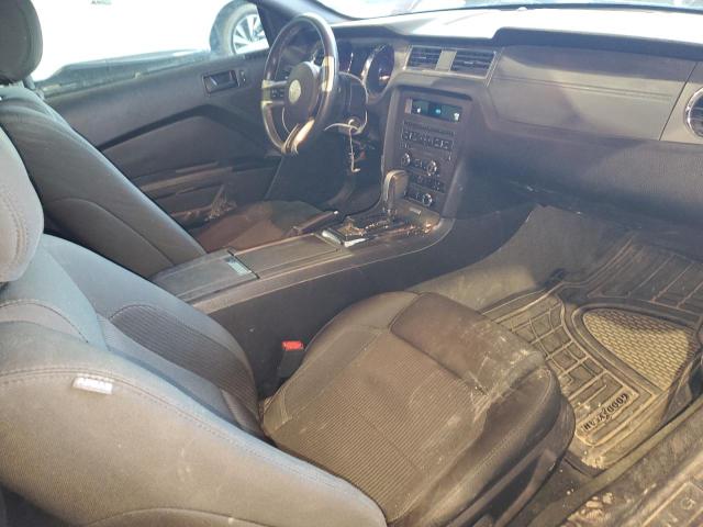 Photo 8 from auction – 2014 FORD MUSTANG with VIN 1ZVBP8AM2E5334557