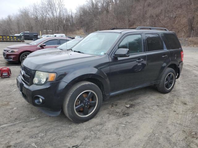 FORD ESCAPE XLT 2011 with VIN 1FMCU9DG5BKB50508 - Photo from auction