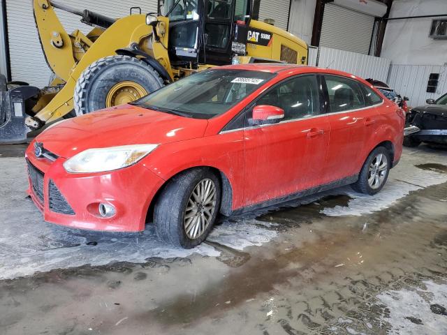 FORD FOCUS SEL 2012 with VIN 1FAHP3H24CL215427 - Photo from auction