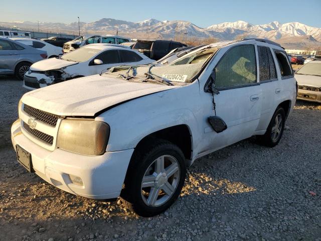 CHEVROLET TRAILBLAZE 2007 with VIN 1GNDT13S972284567 - Photo from auction
