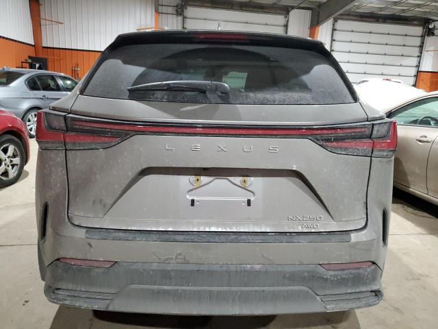 Photo 6 from auction – 2022 LEXUS NX 250 with VIN 2T2ADCEZ1NC002270