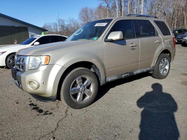 FORD ESCAPE LIM 2010 with VIN 1FMCU9EG4AKC61211 - Photo from auction