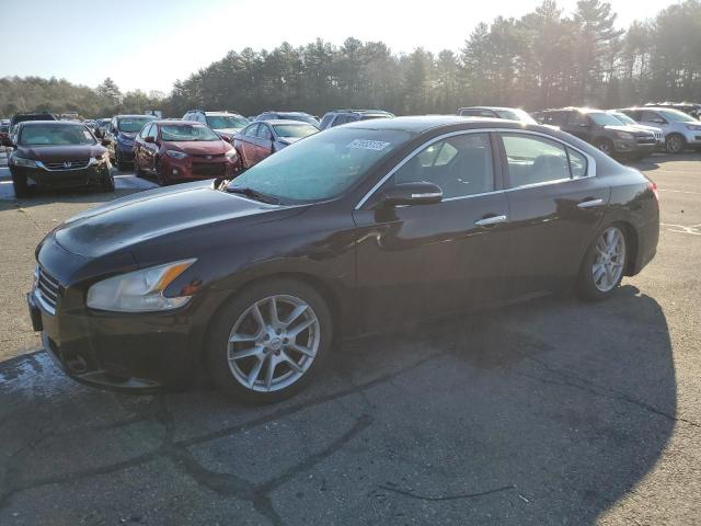 NISSAN MAXIMA S 2010 with VIN 1N4AA5AP7AC830927 - Photo from auction