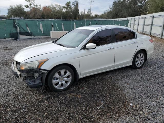 HONDA ACCORD EXL 2010 with VIN 5KBCP3F83AB017242 - Photo from auction