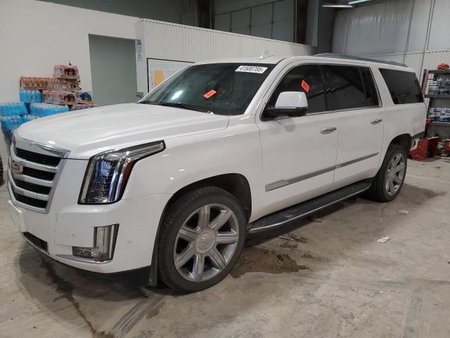 CADILLAC ESCALADE E 2019 with VIN 1GYS4HKJ2KR393154 - Photo from auction