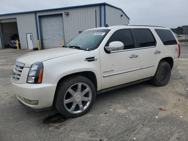 CADILLAC ESCALADE P 2010 with VIN 1GYUKCEFXAR240142 - Photo from auction