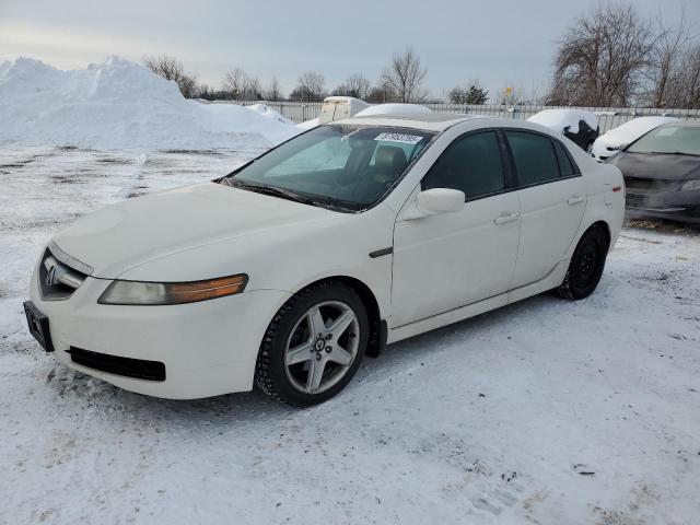 ACURA 3.2TL 2006 with VIN 19UUA66216A800191 - Photo from auction