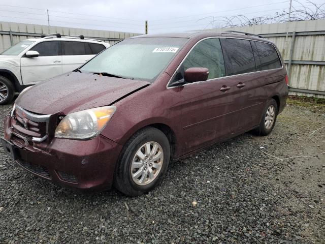 HONDA ODYSSEY EX 2010 with VIN 5FNRL3H53AB039359 - Photo from auction