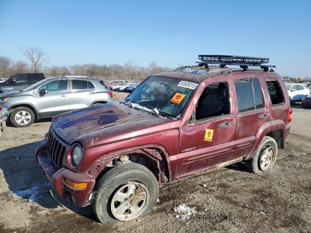 JEEP LIBERTY LI 2003 with VIN 1J4GL58K13W503489 - Photo from auction