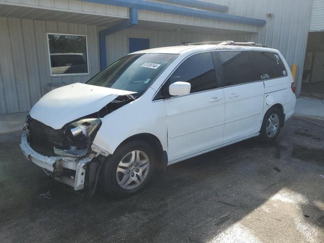 HONDA ODYSSEY EX 2005 with VIN 5FNRL38445B401017 - Photo from auction