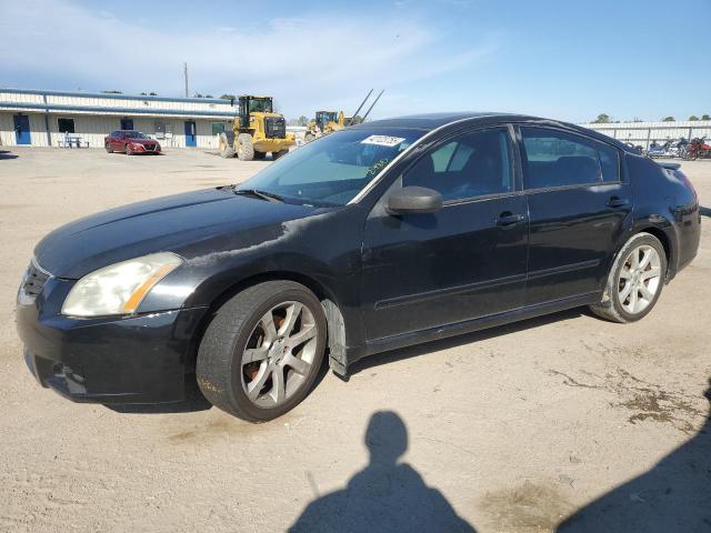 NISSAN MAXIMA SE 2007 with VIN 1N4BA41E57C830821 - Photo from auction