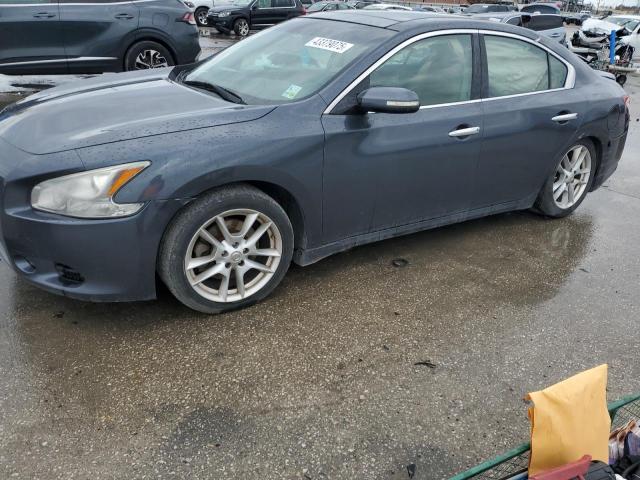 NISSAN MAXIMA 2009 with VIN 1N4AA51EX9C859557 - Photo from auction