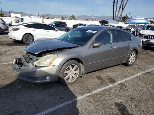 NISSAN MAXIMA SE 2006 with VIN 1N4BA41E86C859616 - Photo from auction