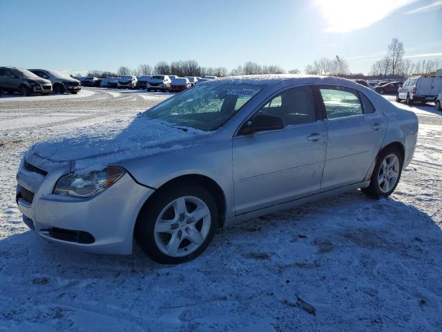 CHEVROLET MALIBU LS 2010 with VIN 1G1ZB5EB5AF315828 - Photo from auction