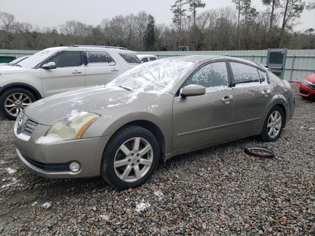 NISSAN MAXIMA SE 2005 with VIN 1N4BA41E05C839052 - Photo from auction