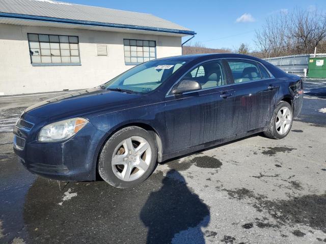 CHEVROLET MALIBU LS 2012 with VIN 1G1ZB5E0XCF257331 - Photo from auction