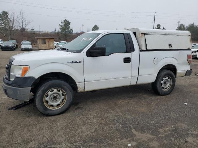 FORD F150 2014 with VIN 1FTMF1CM5EKD83482 - Photo from auction