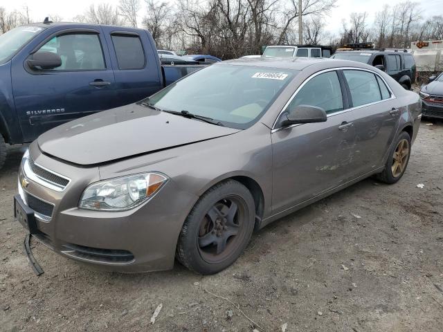 CHEVROLET MALIBU LS 2010 with VIN 1G1ZB5EB4AF316470 - Photo from auction