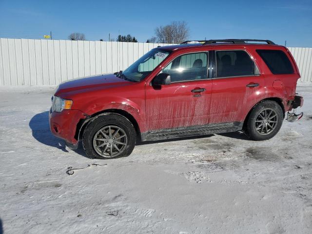 FORD ESCAPE XLT 2011 with VIN 1FMCU9DG2BKB02707 - Photo from auction