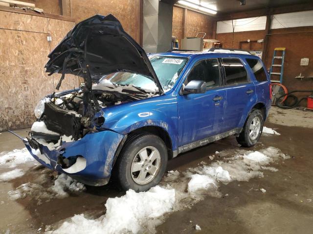 FORD ESCAPE XLT 2011 with VIN 1FMCU0DG9BKA33736 - Photo from auction