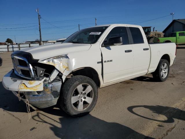DODGE RAM 1500 2009 with VIN 1D3HV18TX9S743363 - Photo from auction