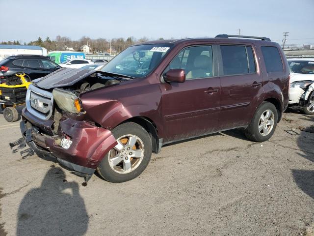 HONDA PILOT EXL 2009 with VIN 5FNYF48599B049186 - Photo from auction