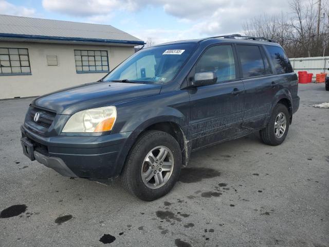 HONDA PILOT EXL 2005 with VIN 2HKYF18705H519780 - Photo from auction