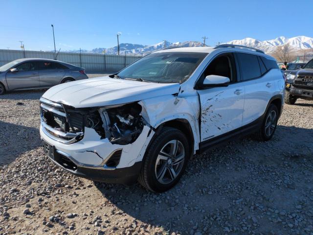 GMC TERRAIN SL 2020 with VIN 3GKALVEV2LL235153 - Photo from auction