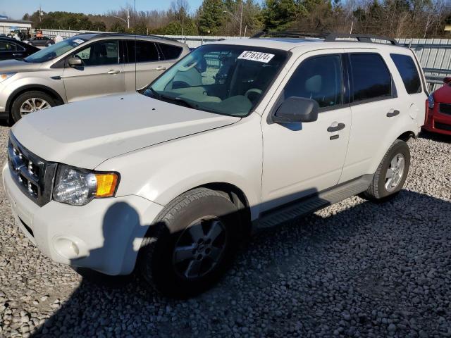 FORD ESCAPE XLT 2009 with VIN 1FMCU03G59KD14038 - Photo from auction