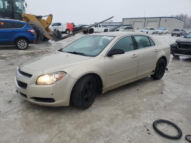 CHEVROLET MALIBU LS 2011 with VIN 1G1ZB5E1XBF352172 - Photo from auction