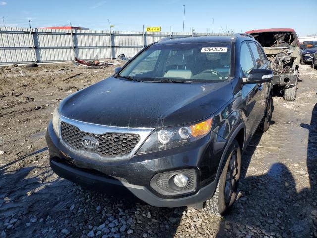 Photo 1 from auction – 2011 KIA SORENTO BA with VIN 5XYKT3A1XBG076122