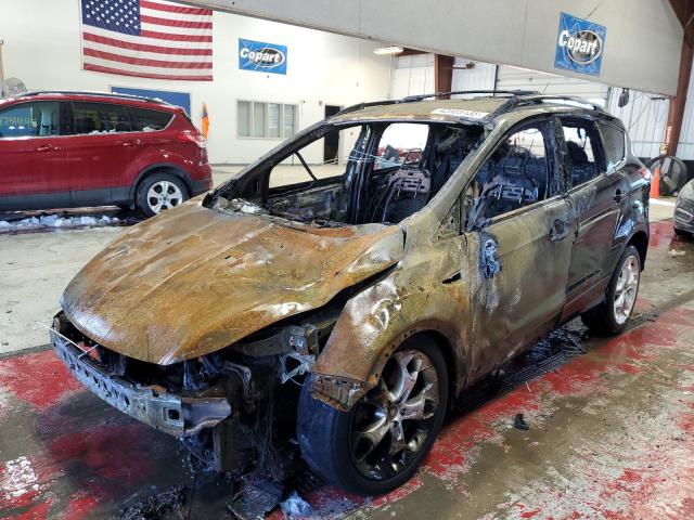 FORD ESCAPE TIT 2014 with VIN 1FMCU9JX7EUB13621 - Photo from auction