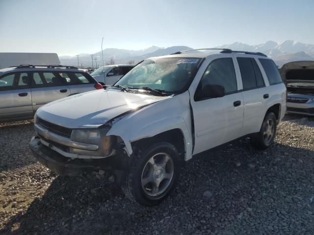 CHEVROLET TRAILBLAZE 2008 with VIN 1GNDT13S682198943 - Photo from auction