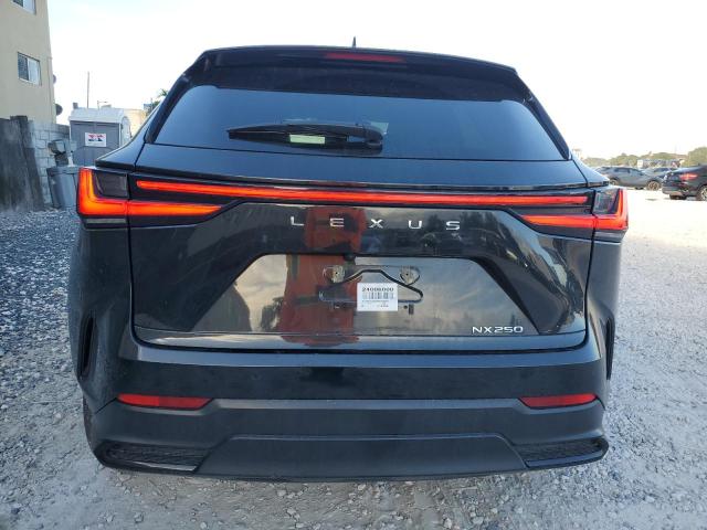 Photo 6 from auction – 2024 LEXUS NX 250 PRE with VIN 2T2GDCAZ0RC006350