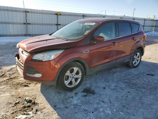 FORD ESCAPE SE 2014 with VIN 1FMCU0GX0EUC99358 - Photo from auction