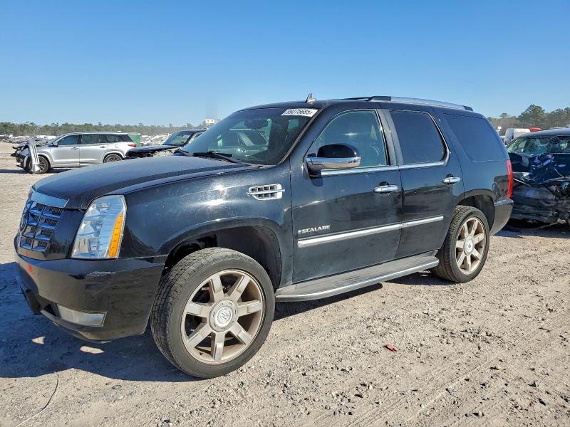 CADILLAC ESCALADE L 2010 with VIN 1GYUCBEF4AR289957 - Photo from auction