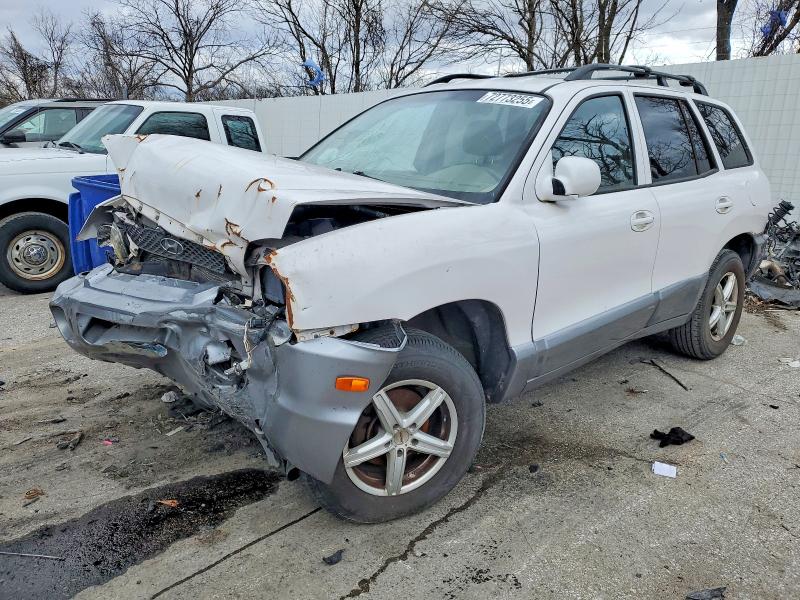Photo 1 from auction – 2004 HYUNDAI SANTA FE with VIN KM8SC13D34U841597