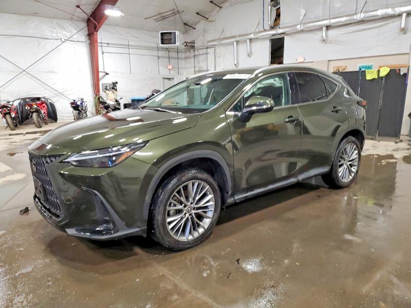 LEXUS NX 350 2023 with VIN 2T2HGCEZXPC026110 - Photo from auction