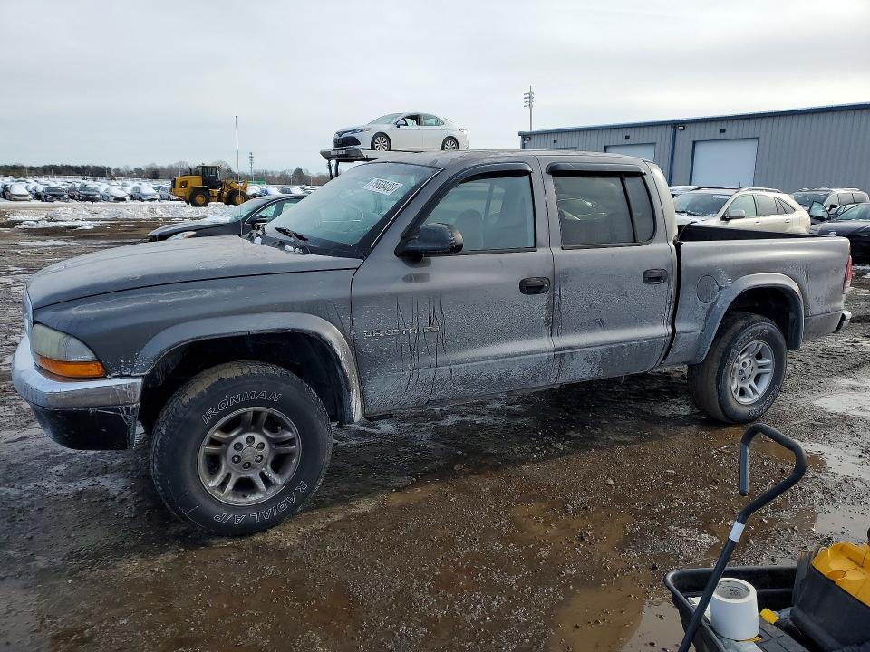 DODGE DAKOTA QUA 2002 with VIN 1B7HG48Z32S697809 - Photo from auction