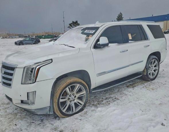CADILLAC ESCALADE 2017 with VIN 1GYS4BKJ9HR158157 - Photo from auction