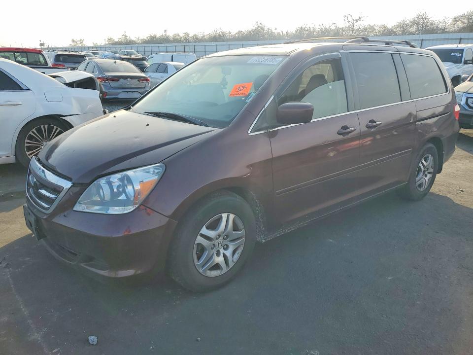 HONDA ODYSSEY 2007 with VIN 5FNRL38747B456404 - Photo from auction