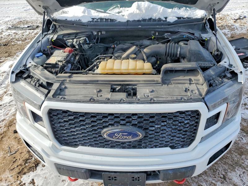 Photo 11 from auction – 2019 FORD F150 with VIN 1FTEW1E57KFB31344