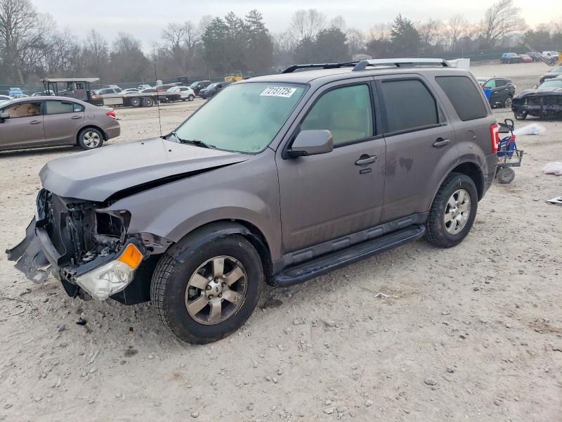FORD ESCAPE LIM 2011 with VIN 1FMCU0EG2BKB96954 - Photo from auction