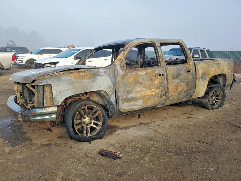 CHEVROLET SILVERADO 2008 with VIN 2GCEC13C281120598 - Photo from auction