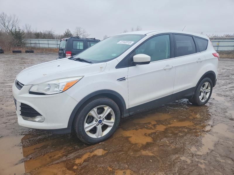 Photo 1 from auction – 2014 FORD ESCAPE SE with VIN 1FMCU0GXXEUA98745